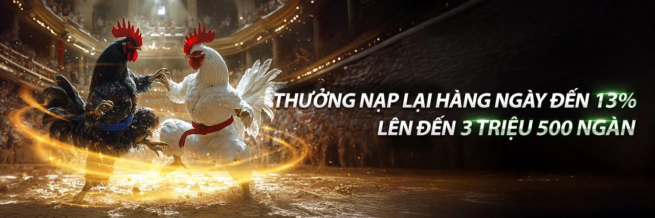Đá gà trực tuyến ball 88 - Trường gà quốc tế sôi động