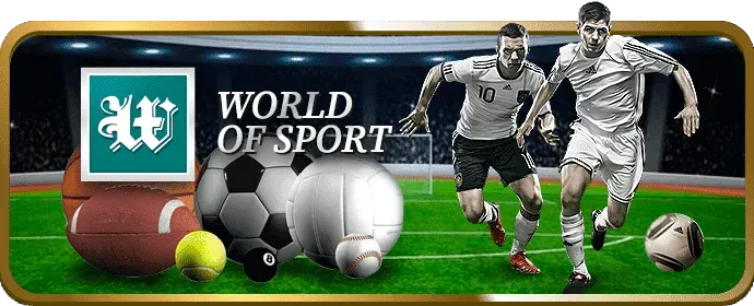 Hướng dẫn sử dụng cookie hiệu quả tại ball 88