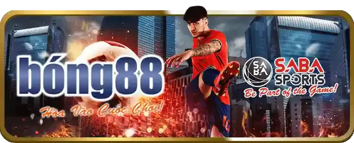 Giới thiệu điều khoản sử dụng ball88
